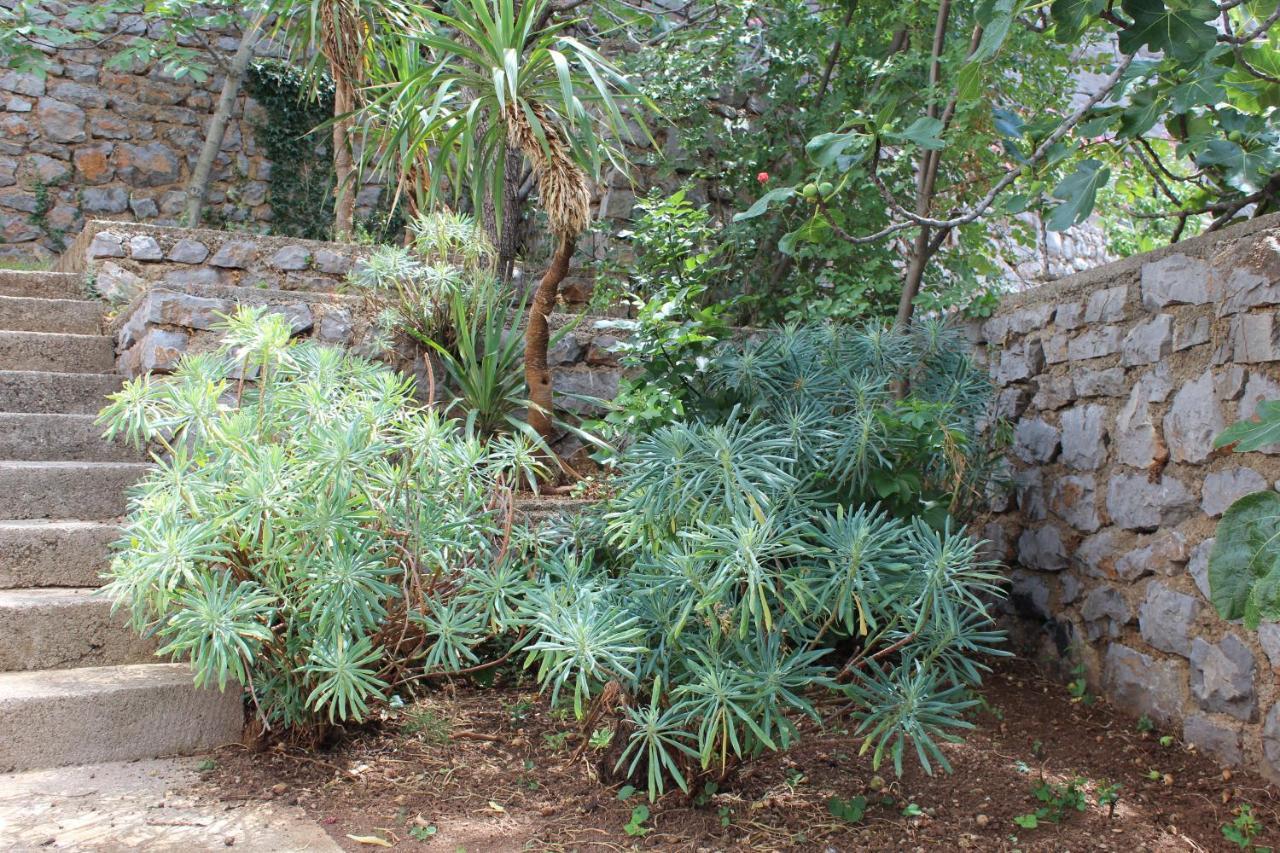 סווטי יוראי Blue Art Apartment מראה חיצוני תמונה